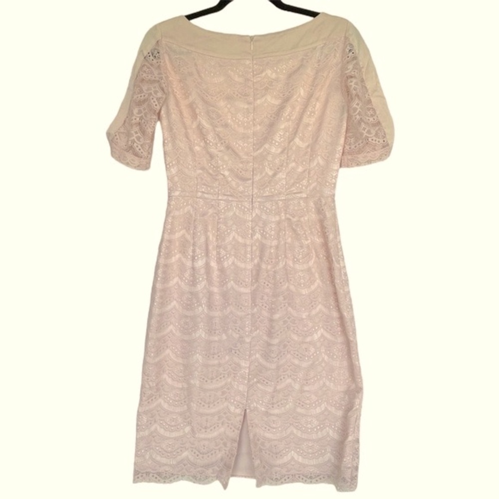 ANTONIO MELANI Blush Lace Sheath Dress - Picture 2 of 16